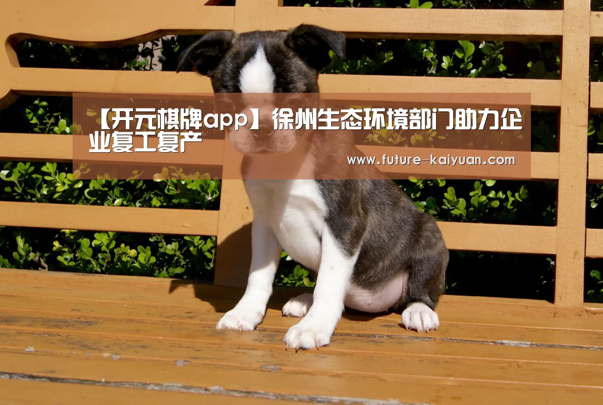 开云入口