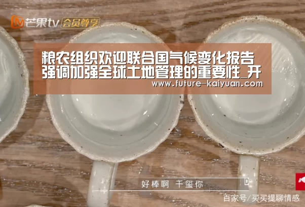 开云入口