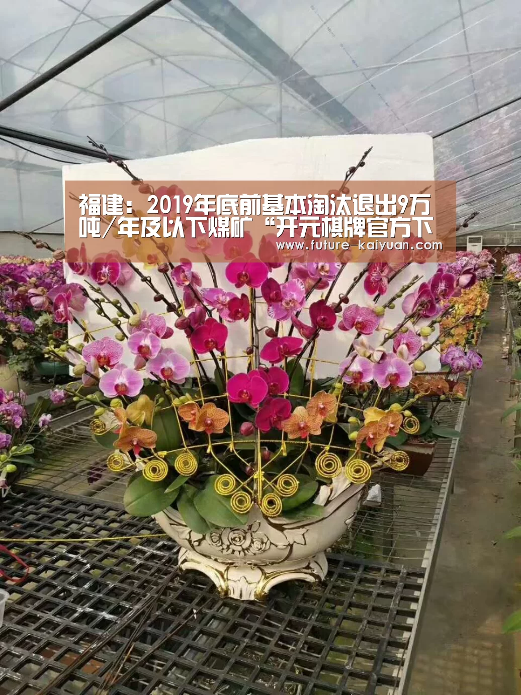 福建：2019年底前基本淘汰退出9万吨/年及以下煤矿“开元棋