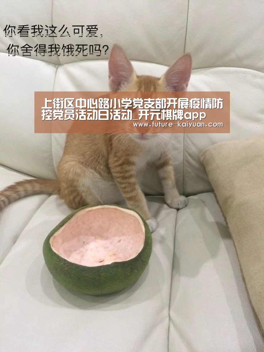 上街区中心路小学党支部开展疫情防控党员活动日活动_开元棋牌a