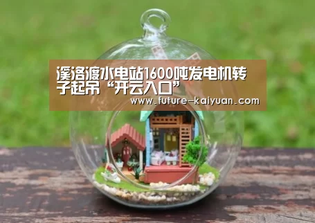 溪洛渡水电站1600吨发电机转子起吊“开云入口”(图3) 开云入口