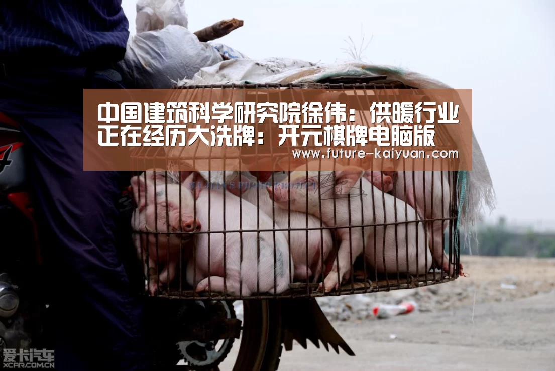 中国建筑科学研究院徐伟:供暖行业正在经历大洗牌:开元棋牌电脑版(图4) 开元棋牌电脑版