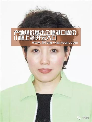 产地煤价基本企稳港口煤价小幅上涨|开云入口