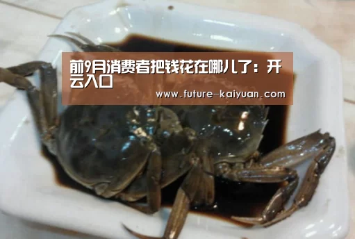 前9月消费者把钱花在哪儿了:开云入口(图1) 开元棋牌官方下载
