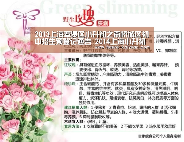 2013上海奉贤区小升初之南桥城区初中招生预登记通告 201